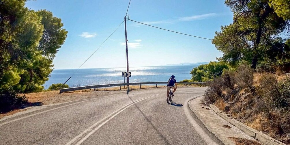 Picture 12 for Activity From Athens: Explore Aegina Island by Bike