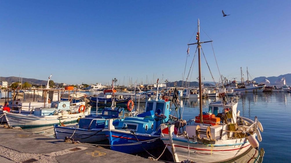 Picture 6 for Activity From Athens: Explore Aegina Island by Bike