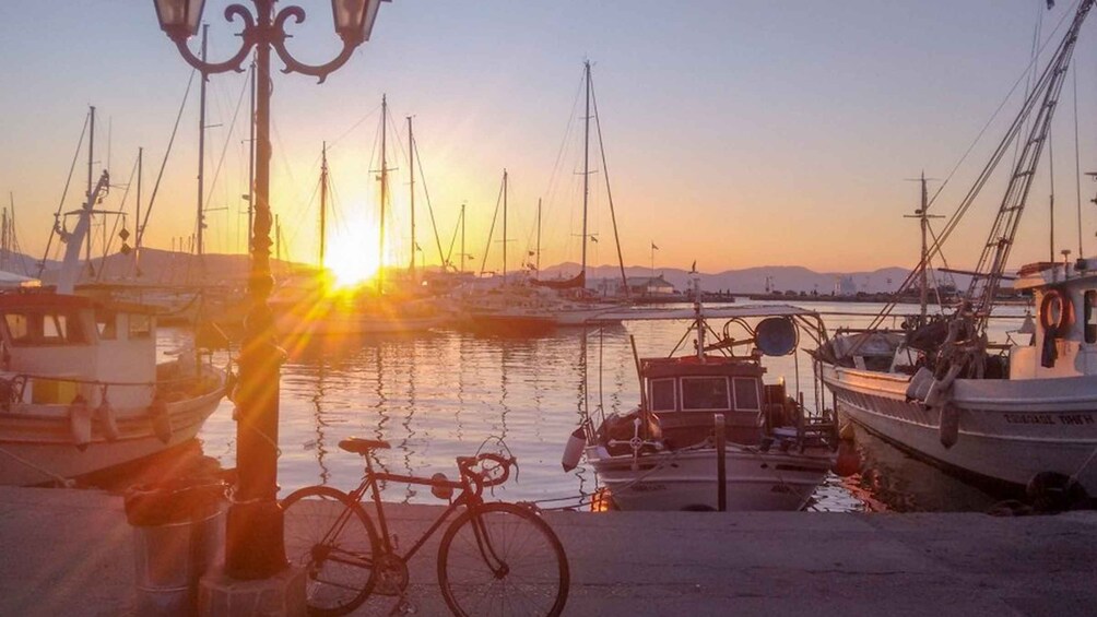 Picture 4 for Activity From Athens: Explore Aegina Island by Bike