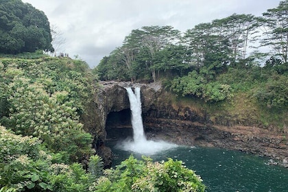 PRIVATE Shore Excursion - 'Best of Hilo and Hamakua coast