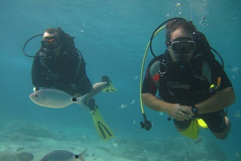Scuba Diving Tour With Lunch in Alanya