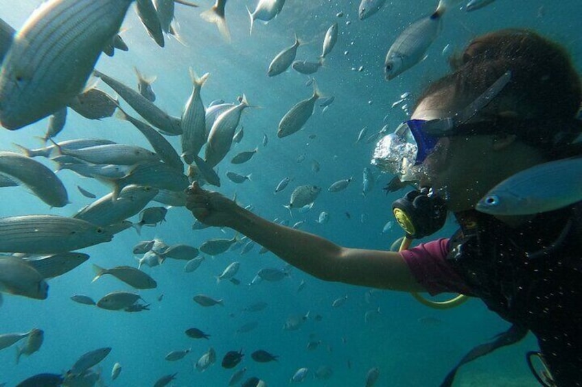 Scuba Diving Tour With Lunch in Alanya