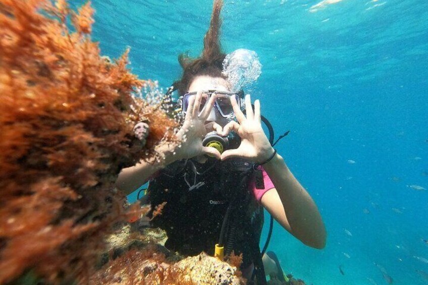 Scuba Diving Tour With Lunch in Alanya