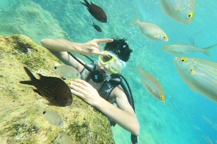 Scuba Diving Tour With Lunch in Alanya