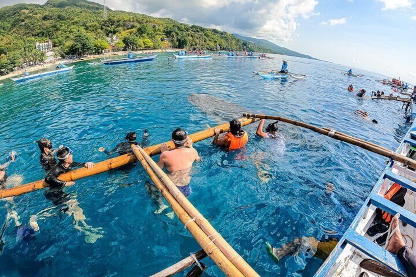 Oslob Snorkeling with Whale Sharks and Tsumalog Waterfalls Tour