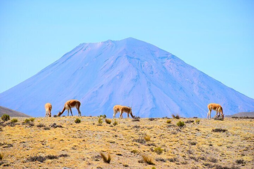 Tour 10 Hours Pillones Waterfall and Puruña Stone Forest