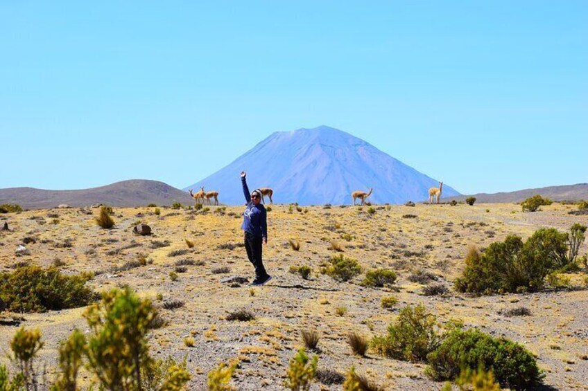 Tour 10 Hours Pillones Waterfall and Puruña Stone Forest