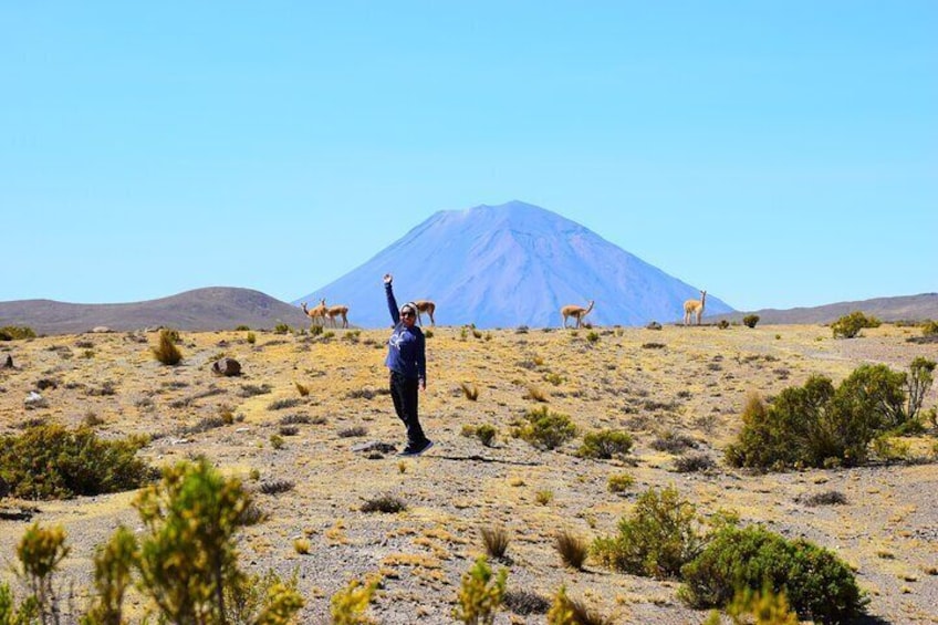 Tour 10 Hours Pillones Waterfall and Puruña Stone Forest