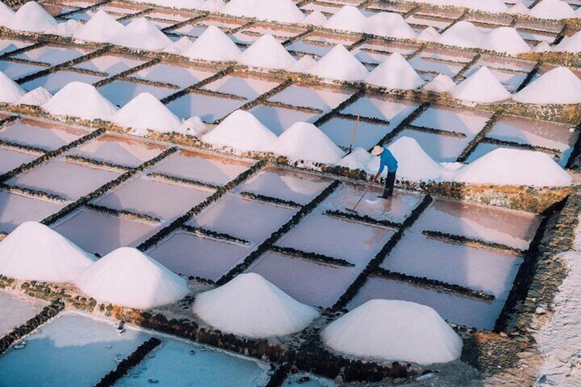 Private and Guided Tour to the Salinas de Janubio with Tasting