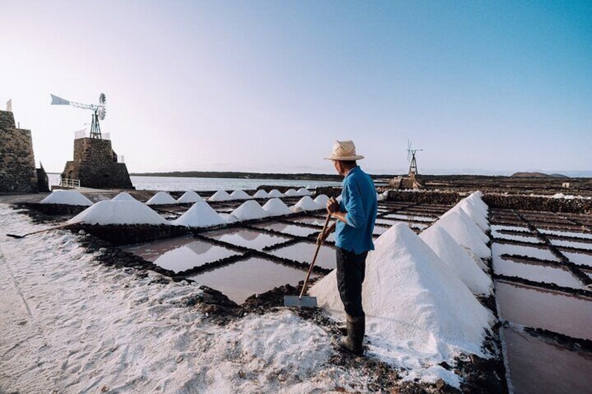 Private and Guided Tour to the Salinas de Janubio with Tasting