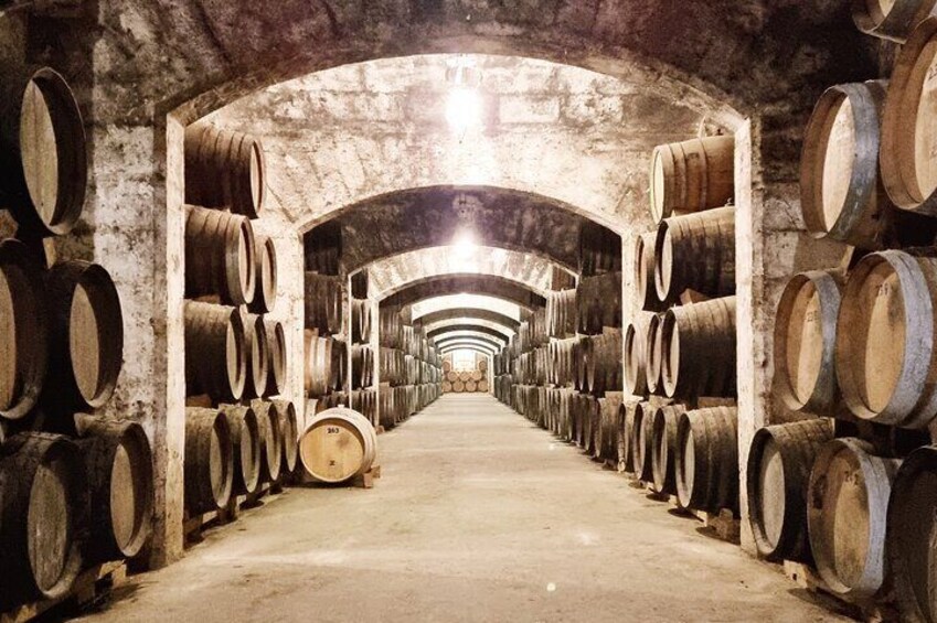 Palma Distillery Tour with 6 Spirits and Gourmet Tapas Tasting