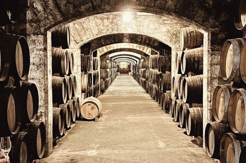 Image of centuries old underground historic cellar with gin, brandy and rum barrels aligned ready for tastings. Premium Tasting Tour Bodega Mallorca.