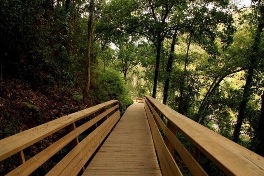 From Arouca: 516 Arouca Bridge & Paiva Walkway Tour