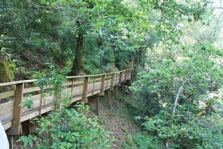 From Arouca: 516 Arouca Bridge & Paiva Walkway Tour