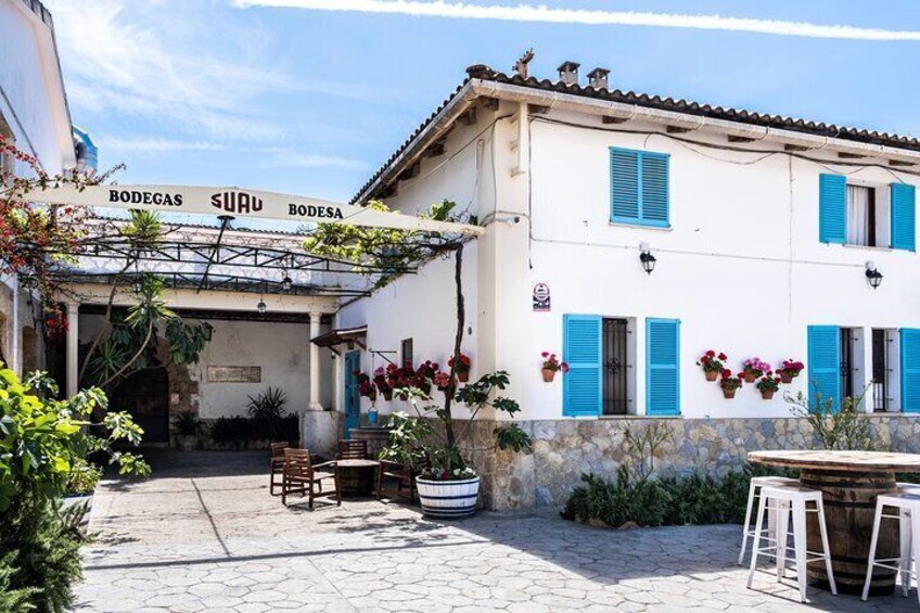 Relax and take a last glass in the courtyard of the bodega, or enjoy a welcome refreshment seated at the tables amongst the flowers and plants. Meet your wine guide and wine educator in the courtyard.