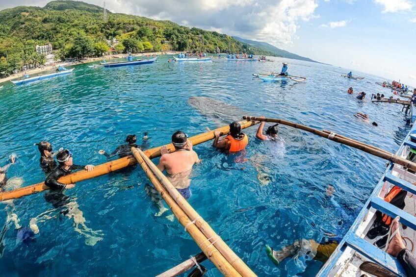 Boat ride to snorkeling spots with whale sharks