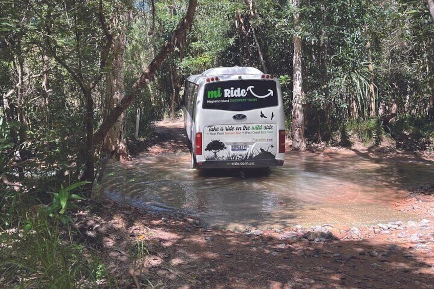 Take a ride on the wild side of Magnetic Island with 'Bessie' our comfortable 4WD bus.