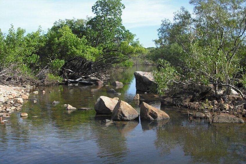 Tidal waters bring some surprises.