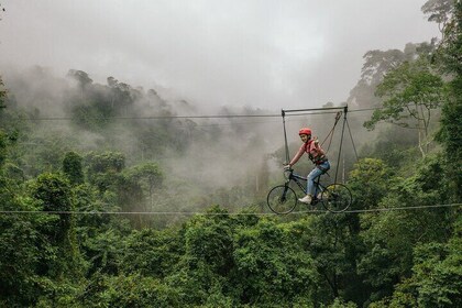 Vientiane Tree Top & Waterfall Excursion