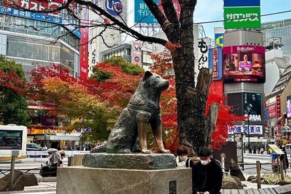 Private Walking Tour in Tokyo - Perfect for First-Time Visitors