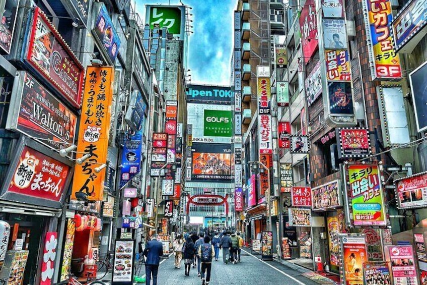 4 Hours Private Walking Tour in Tokyo 