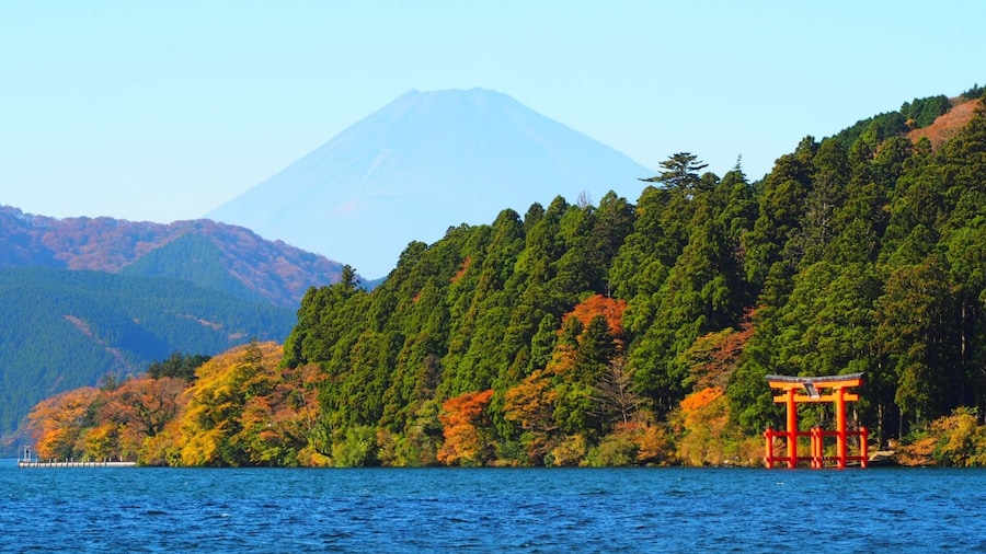 From Tokyo: Hakone, Owakudani, & Lake Kawaguchi Day Tour