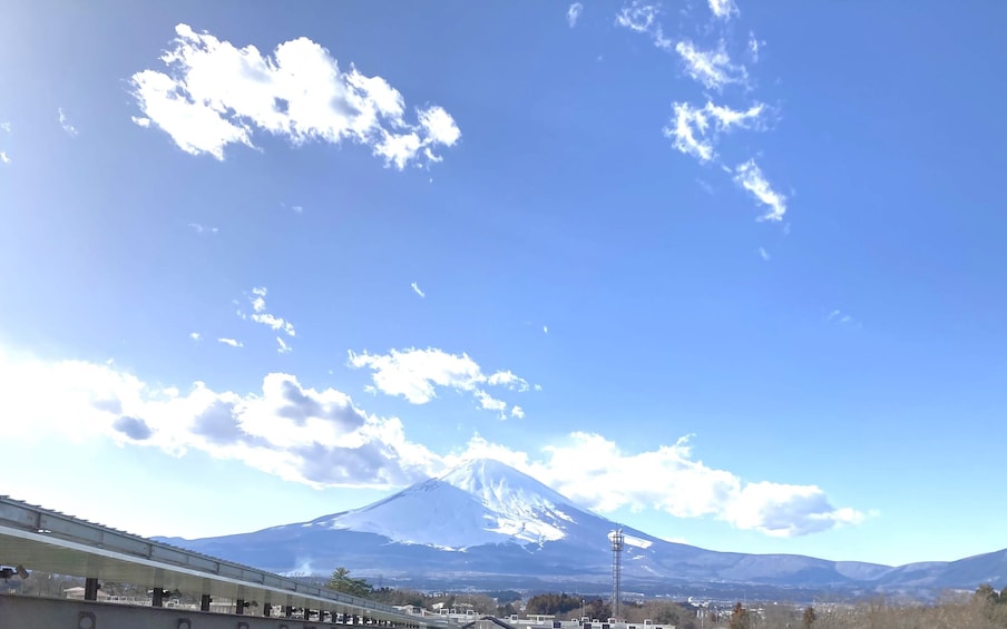 From Tokyo: Hakone, Owakudani, & Gotemba Premium Outlet 1Day Tour