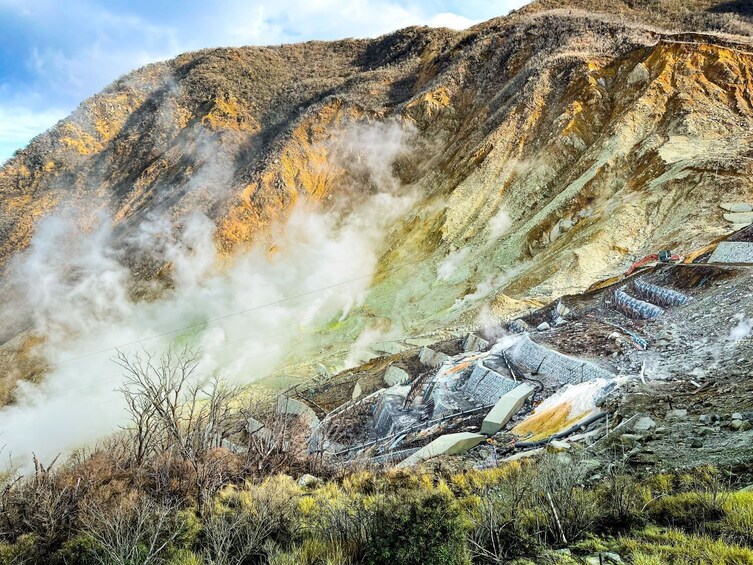 From Tokyo: Hakone, Owakudani, & Lake Kawaguchi Day Tour