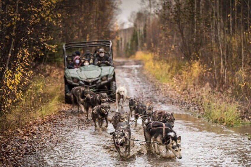 Splashing through puddles!