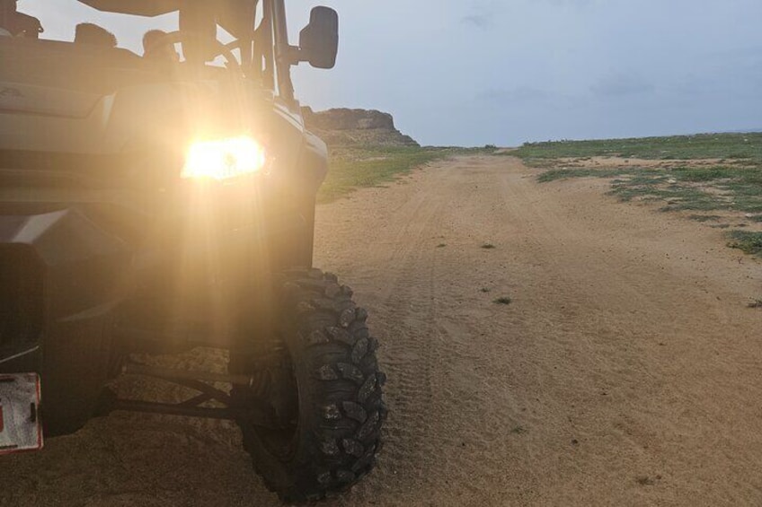 Half Day Island Tour in Aruba with 4 Seater UTV Ride