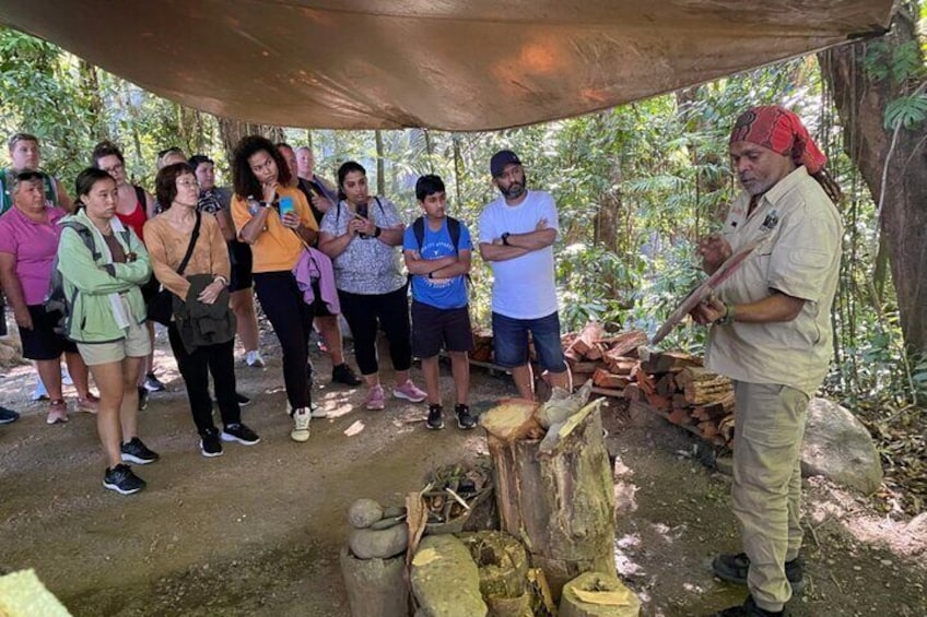 3B Daintree Rainforest, Mossman Gorge, Crocodile Wildlife Cruise