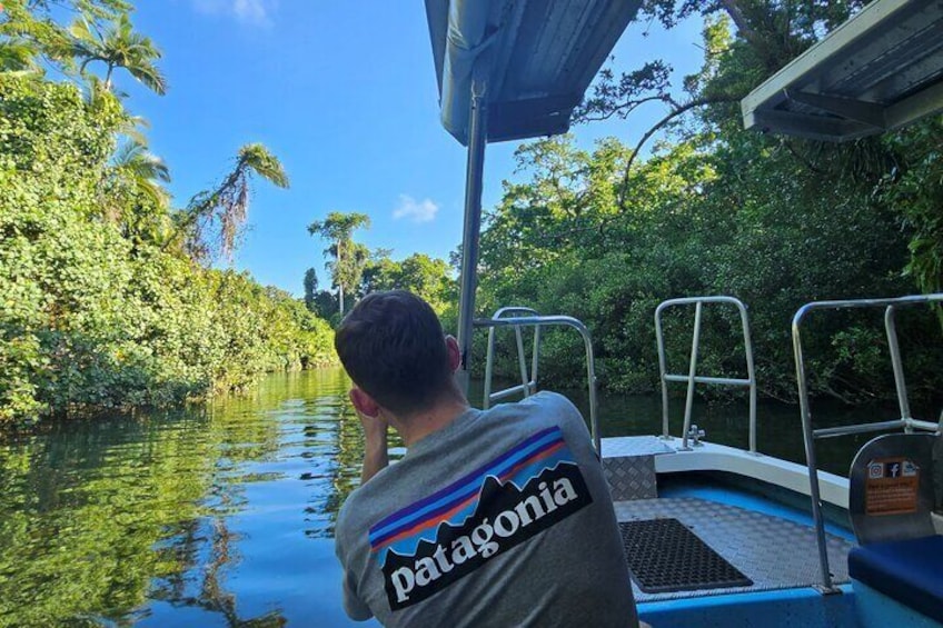 3B Daintree Rainforest, Mossman Gorge, Crocodile Wildlife Cruise