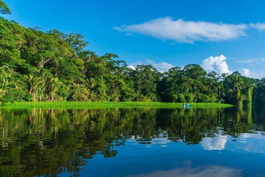 Tortuguero: Canoe tour, day hike and night tour