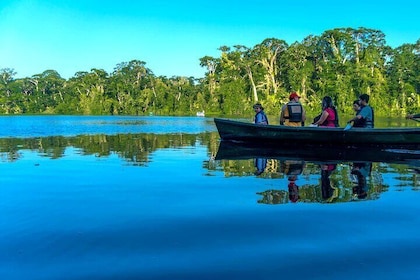 Tortuguero: Canoe tour + Turtle spawning or night tour