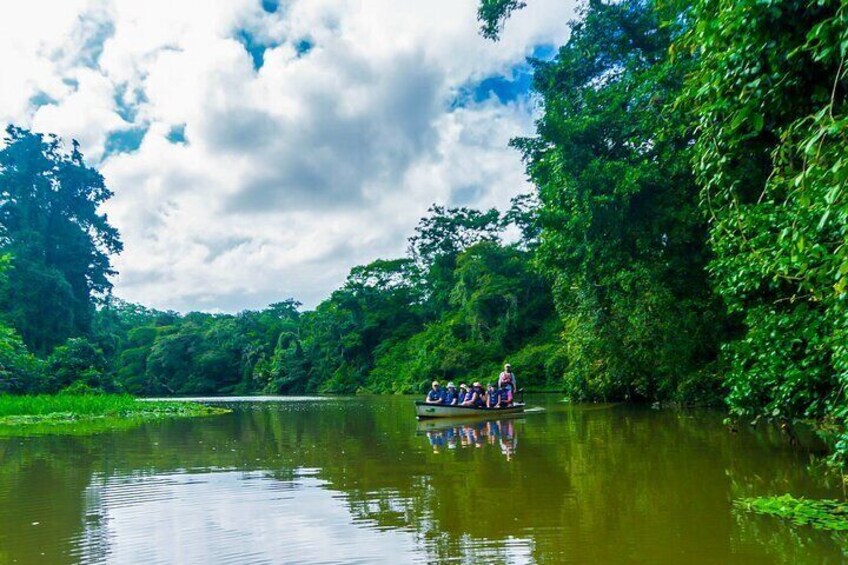 Tortuguero: Canoe tour, day hike and night tour