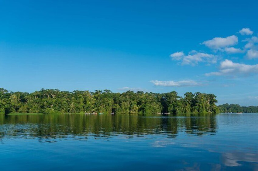 Tortuguero: Canoe tour, day hike and night tour