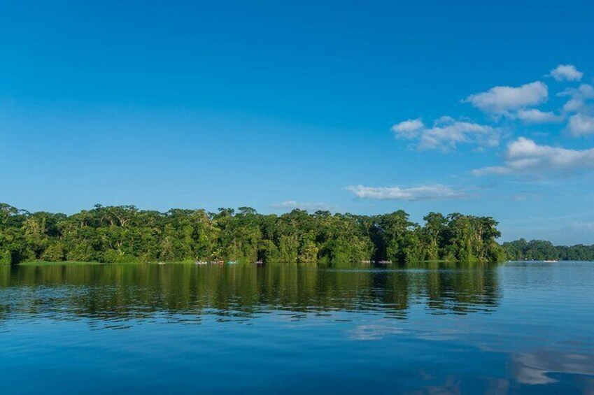 Tortuguero: Canoe tour, day hike and night tour