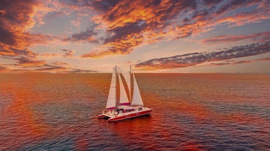 Sailing Experience to Boca Catalina with Dinner