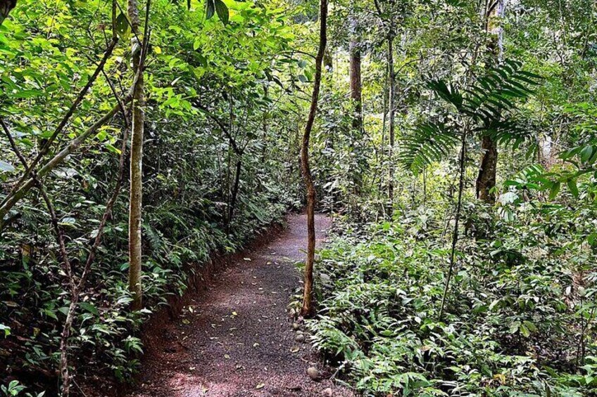 2 Hour Self Guided Hiking with Ocean Views in Herradura Bay