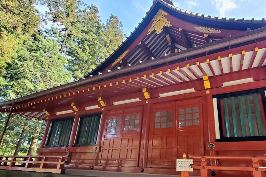  Full Day Private Nature Tour in Nikko Japan with English Guide