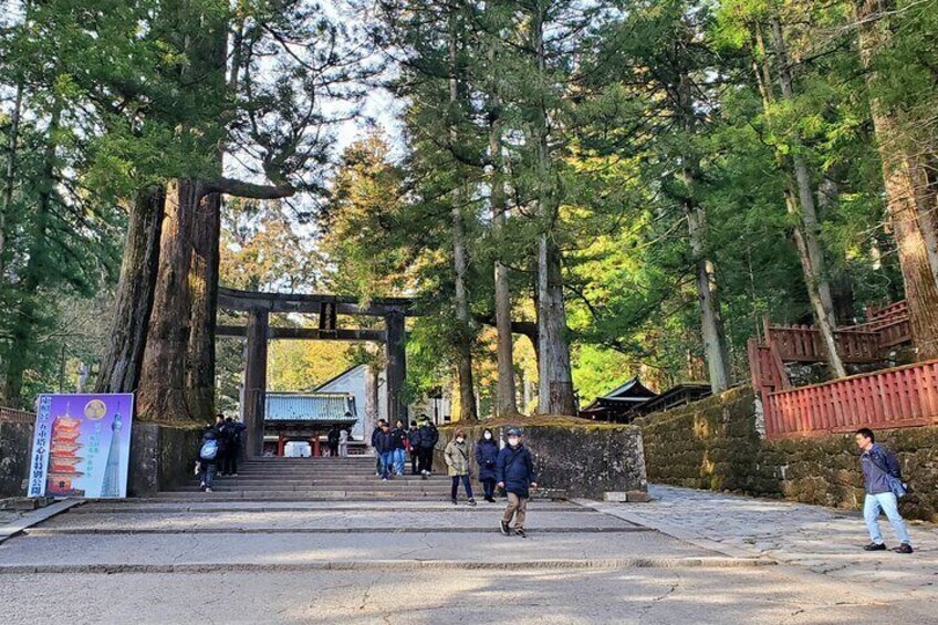Guided Private Nikko Tour GREEN NUMBER PLATES