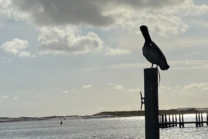 Private Sunset and Harbor Cruise Experience in Destin-Up to 16 Guests