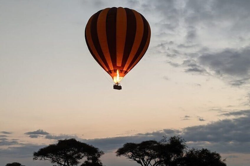 Hot Air Balloon Tour in Amboseli National Park with Breakfast