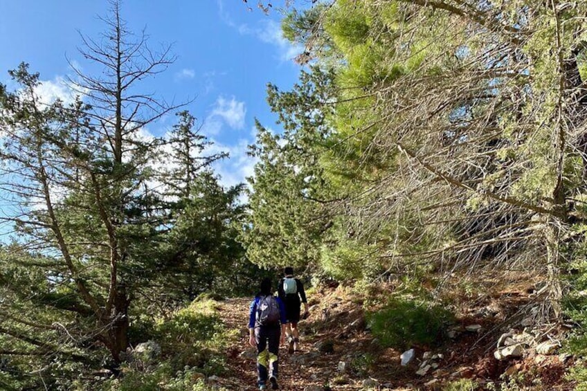 Small Group Hiking on Mount Akramitis in Rodos