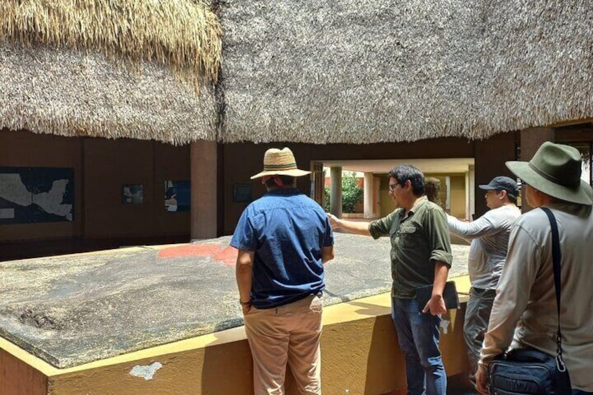 Appreciate the history of the La Venta Archaeological Zone