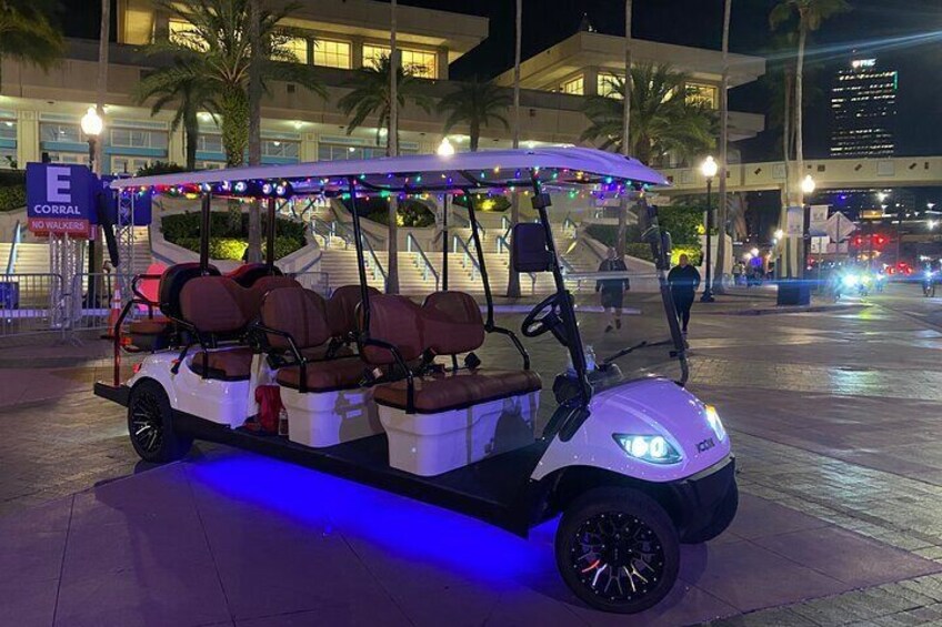 Christmas Lights Wonderland Deluxe Golf Cart Guided Tour in Tampa