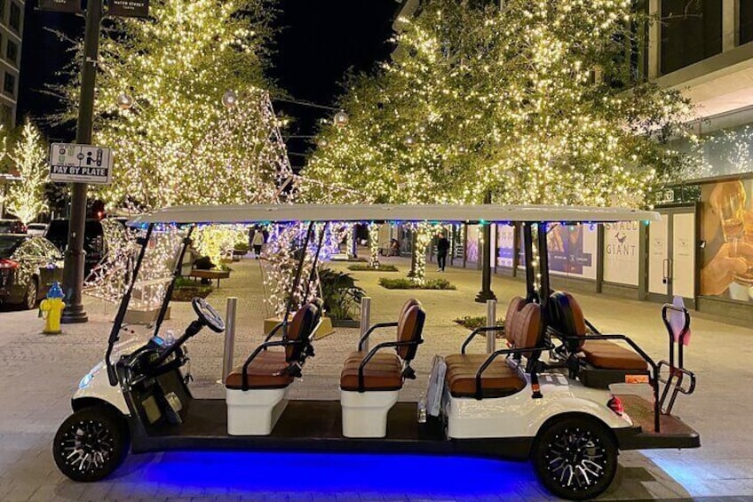 Christmas Lights Wonderland Deluxe Golf Cart Guided Tour in Tampa