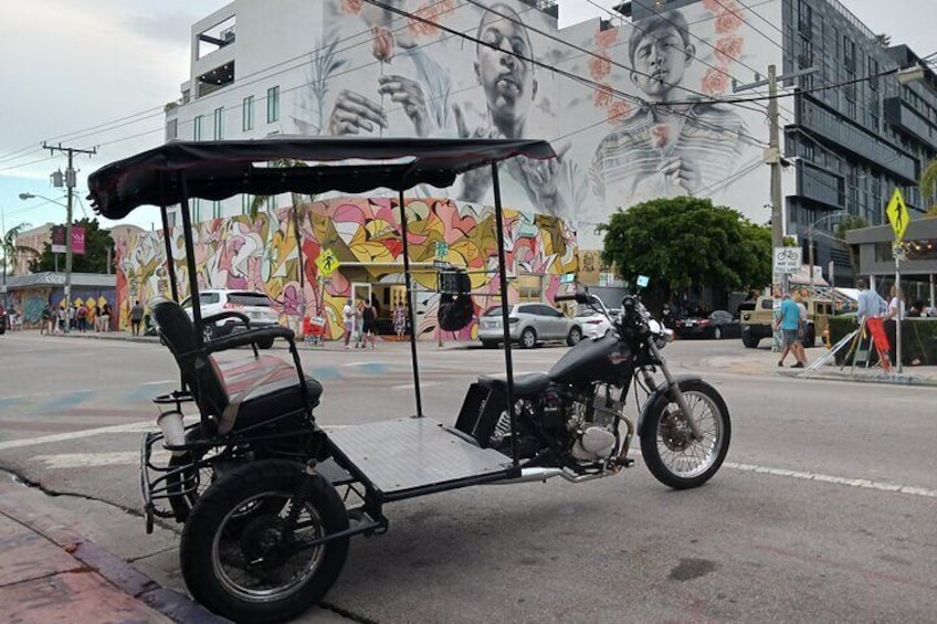 Wynwood Art tour in Miami's only TucTuc