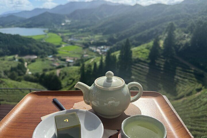 Korean Green Tea Tour in Boseong & Gangjin