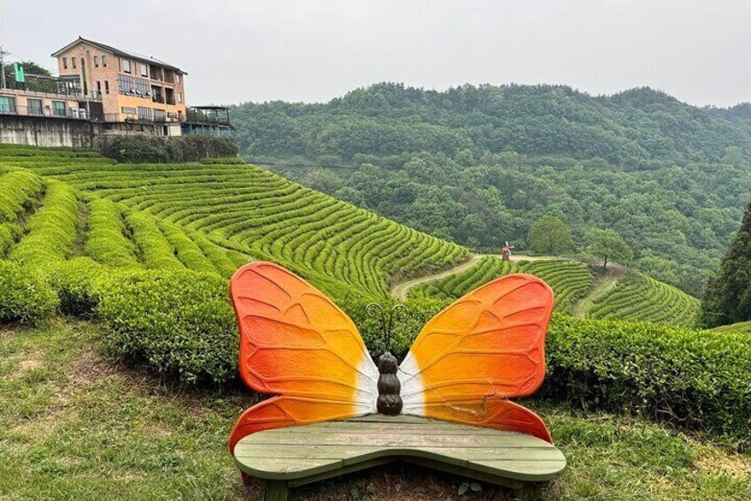 Green Tea Tour in Boseong and Gangjin